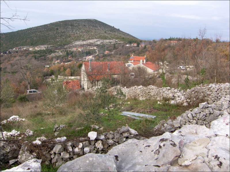 Dragovija (12)
